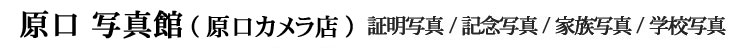 ʐ^